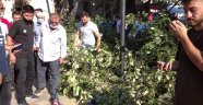 Üzerine ağaç düşen çocuk ölümden son anda kurtuldu