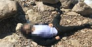 Van Gölü sahilinde erkek cesedi bulundu