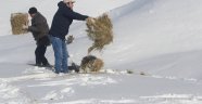 Yaban hayvanları için yem bırakıldı