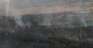 Yangında 50 hektar alan zarar gördü