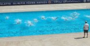 Yaz Spor Okullarında En Fazla İlgi Yüzmeye