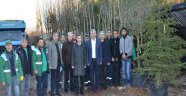 Yeşilyurt Belediyesi 15 Bin Fidan Dikiyor