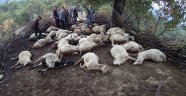 Yıldırım 39 hayvanı telef etti