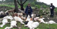 Yıldırım düşmesi sonucu 52 koyun telef oldu