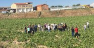 Yoldan çıkan otomobil kabak tarlasına uçtu: 6 yaralı