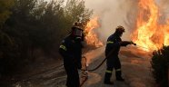 Yunanistan'daki yangında 54 kişi hayatını kaybetti