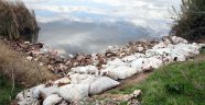 Yüzlerce at ve eşek kafası ile kemikleri bulundu