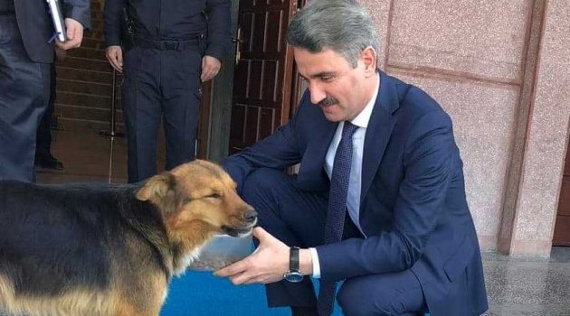 Vali köpeğe elleri ile su içirdi