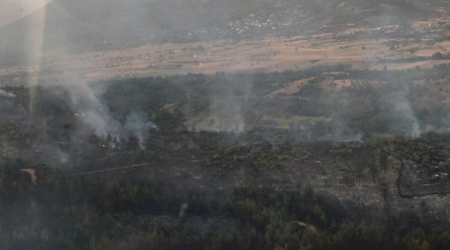 Yangında 50 hektar alan zarar gördü