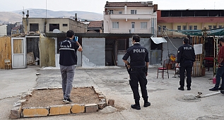 Güvercin tutkusu canında ediyordu! 