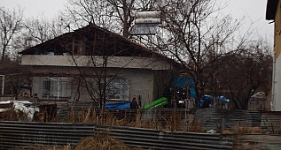 Babasını öldürüp okula gitti! 