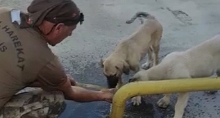 Yürekleri ısıttı! 