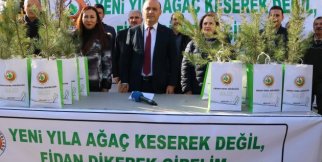 Ücretsiz çam fidanı dağıtıldı